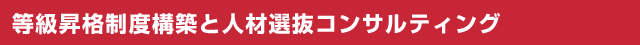 等級昇格制度構築と人材選抜コンサルティング